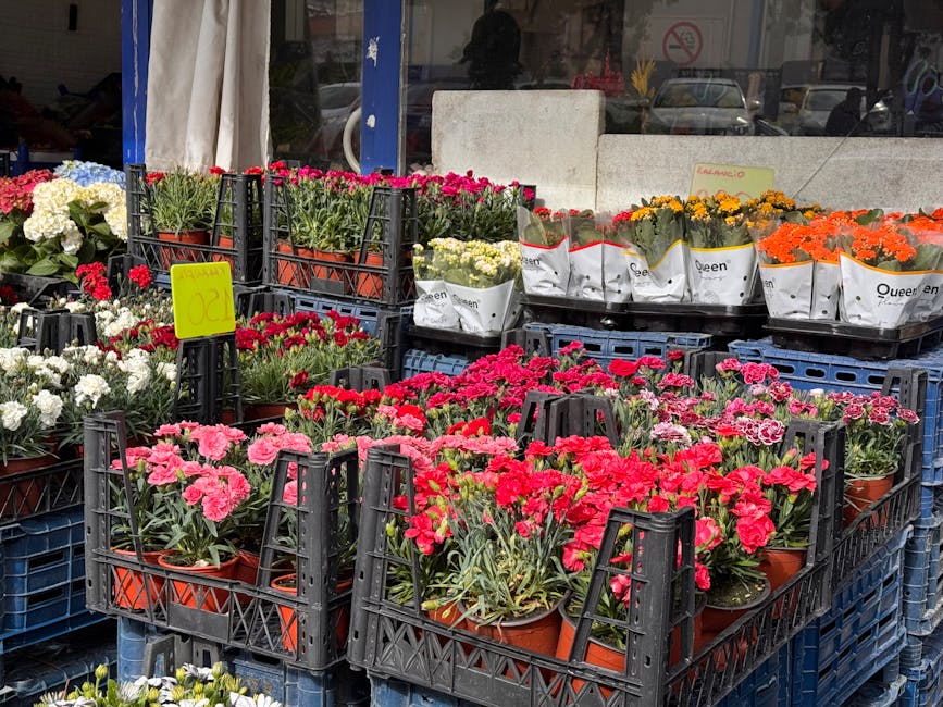 A variety of fresh flowering plants arranged in black plastic crates outside a flower shop, showcasing an assortment of colorful blooms including pink, red, white, yellow, and orange flowers. The plan
